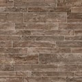 SW03-24x48